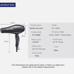 Electric Hair Dryer