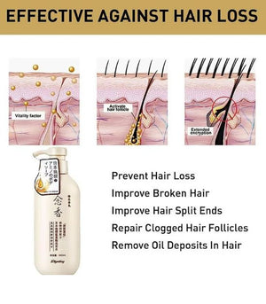 Japanese Shampoo